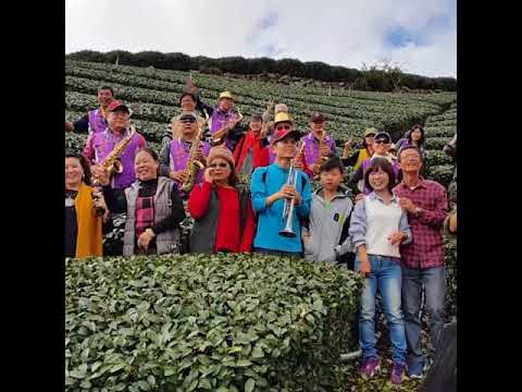 “善喜薩克斯風樂團”在阿里山(御統茗園)演奏會