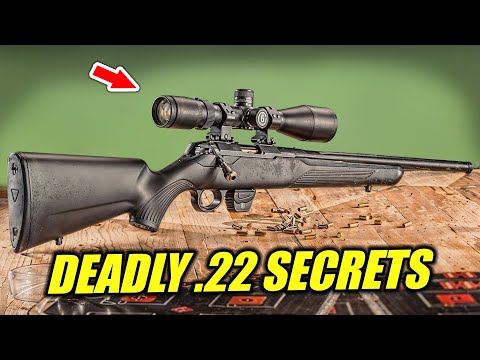 22 LR Rifles...The Surprising Truths NO ONE Tells You