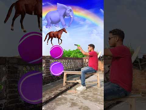 Magical Transformation| Rotating Ball to Hathi Ghoda Sher Tiger#shorts#short