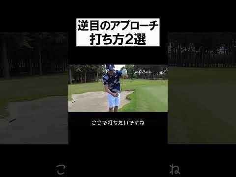 逆目の打ち方２選 #shorts  #golf #矢野東 #男子プロ #ゴルフ #アプローチ