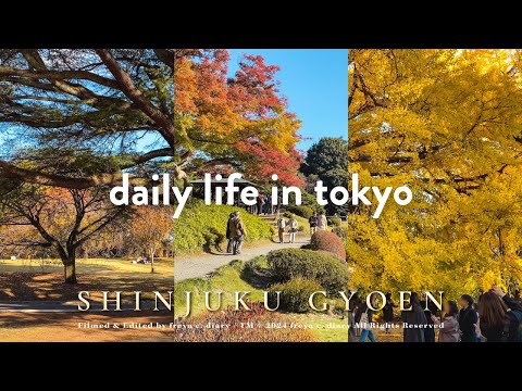 My Parents Visit Tokyo Vlog🍁 | Shinjuku Gyoen Walk🍂 Relaxing Moments Under Autumn Leaves and Ginkgo