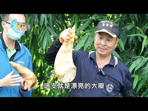 【雲林斗南鎮】烏殼綠竹筍專區 農會推廣共選共計｜用心的產業｜383｜#美麗心台灣