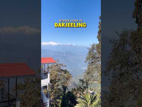 Winter Vibes in Darjeeling ❄️