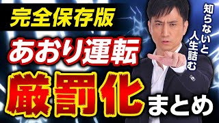 【保存版】「あおり運転」厳罰化6月30日スタート。弁護士が「妨害運転罪」を解説！/ タケシ弁護士【岡野武志】