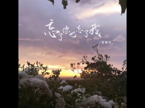 忘了你也忘了我 - 夏婉安