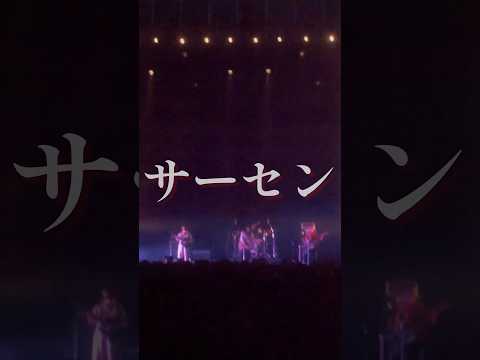 「サーセン」LIVE(2023.12.31@COUNTDOWN JAPAN 23/24)