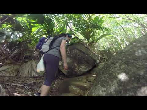 Seychelles Hike