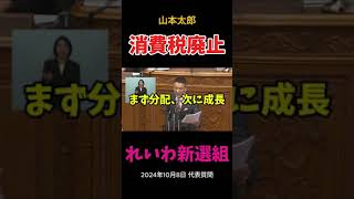 れいわ新選組で消費税廃止！（2024年10月8日 代表質問）