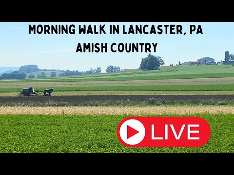 Amish Country morning walk!