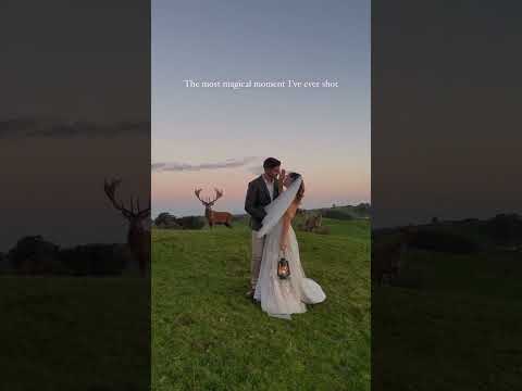 There’s magic, and then there’s this incredible moment in #NewZealand 🎥: @seleaphotography #bride