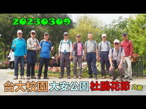 20230309 台大校園大安公園杜鵑花節之旅