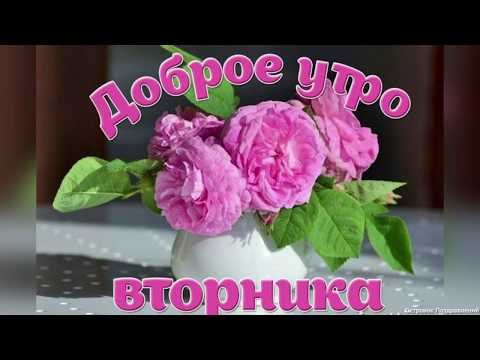 С Добрым Утром! Превосходного Вторника! Музыкальная открытка С Вторником!