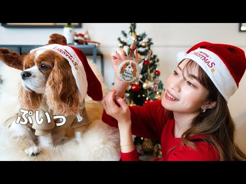 🐶👩🏻‍🦰1年に1回だけのイベントなのに全く楽しめていない愛犬を見てクスッと笑ってしまう動画【クリスマス】