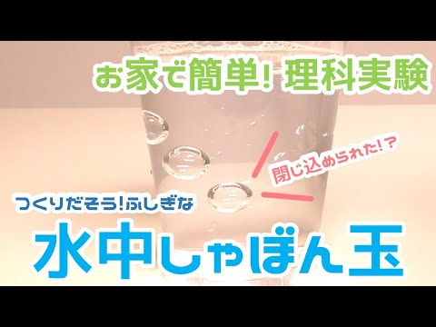 【家で簡単実験】閉じ込められた 水中しゃぼん玉