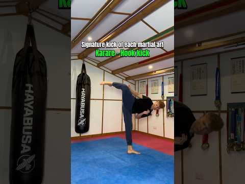 Signature kick of each martial art…