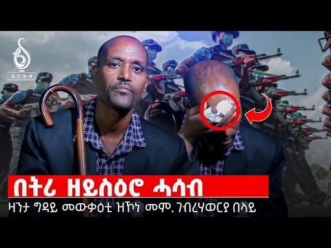 TBS TV| መንበሪ ስኢንና/ ግ.ም.ት ከም  ገበን/ ህወሓት ንመን ቀሪባቶ ንመን ሪሒቃቶ/ ንኣርሚ 60 ከም ኣርሚ ኣይውክልን/ ዛንታ መም ገ/ሃወርያ በላይ