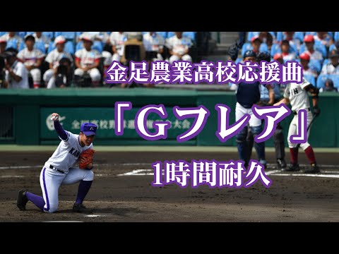 【1時間耐久 -1 HOUR LOOP- 】金足農業高校応援曲『Gフレア』【作業用】