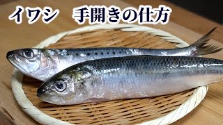 イワシの捌き方（手開きの仕方）きれいに骨を抜いて刺身にする方法