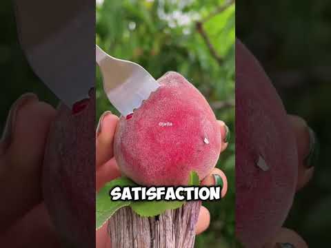 Mesmerizing Fruit Cutting for Fruit Lovers #FruitCutting #SatisfyingVideos #FruitLovers #JuicySlices