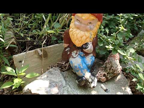 The Good, Bad, and The Ugly - Funky Garden Tours 07-27-24 - Sunny Daze Stretch Outdoor Edition 🌿🥒🍅🌼🌗