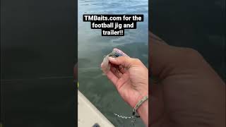 Fishing Tips Pt1 (Football Jig) #Fishing #Bassfishing #Outdoors #Footballjig #Fishinglures