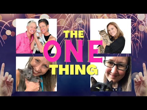 The ONE Thing We Can Do For Our Cats | Round Table | Two Crazy Cat Ladies