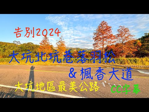 萬ㄟeye台灣20241229大坑北坑巷落羽松＆楓香大道/請打開CC字幕/大坑地區最美公路   4K