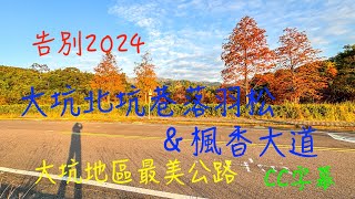 萬ㄟeye台灣20241229大坑北坑巷落羽松＆楓香大道/請打開CC字幕/大坑地區最美公路   4K