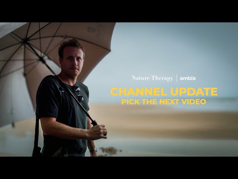 Channel Update - Pick The Next Video I Work On