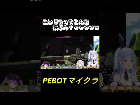 エンドラに飛ばされるトワ様ｗｗｗｗｗ #shorts #ホロライブ #PEBOT