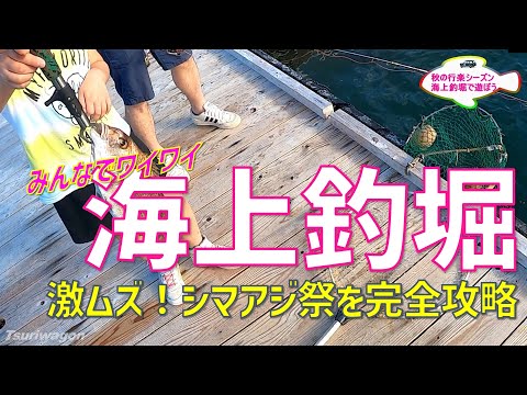 海上釣堀を貸切したら楽しすぎたｗ【シマアジ完全攻略】海上釣堀・岬