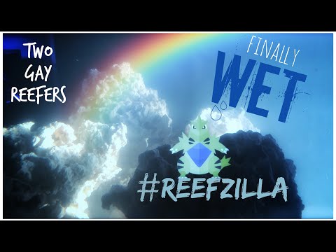 #Reefzilla - Finally Wet - Final Plumbing and Freshwater Leak Check