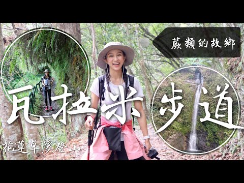 跟著丁小羽一起去花蓮登山！出發瓦拉米步道，走進花蓮綠色秘境，走鋼索吊橋、欣賞山風瀑布(布農族佳心部落)