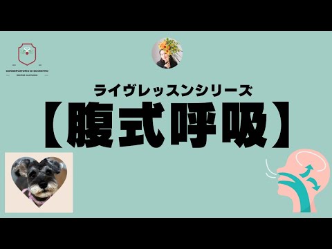 【腹式呼吸】ライヴレッスン#声楽初心者 #声楽 #声楽レッスン #発声練習 #発声 #田川理穂 #声の出し方 #ボイトレ #腹式呼吸 #呼吸法 #発声法#声楽練習