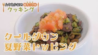 【愛犬三ツ星クッキング】クールダウン夏野菜トッピング