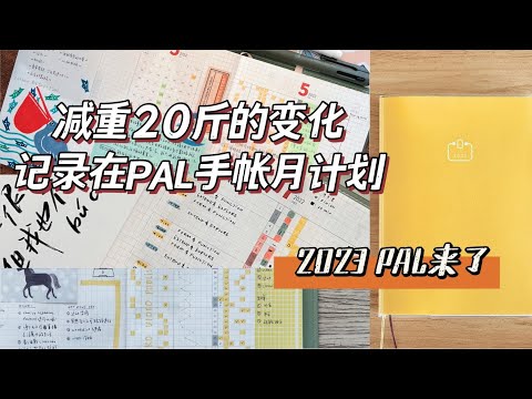 信息量超大！PAL手帐使用8个月的分享（上）| 2023 PAL手帐来了！| 减重20斤+阅读习惯重塑