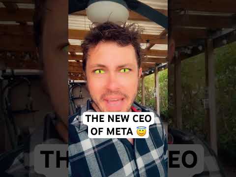 THE NEW CEO OF META