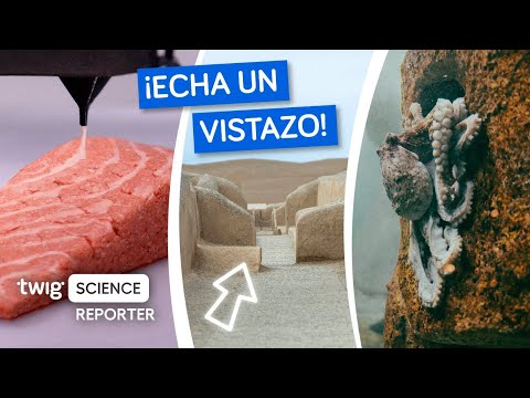 ¡La UNESCO añade nuevos Patrimonios de la Humanidad! | Twig Science Reporter en Español