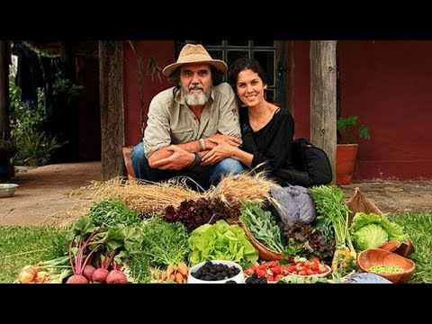 TRANSIÇÃO DA CIDADE PARA O CAMPO - JOÃO ROCKETT - RAMA PERMACULTURA