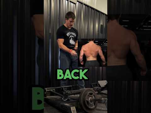 3 🔑 Exercises for a Stronger, Wider Back | T Bar Row, Wide Grip Lat Pulldown, Straight Arm Pulldown