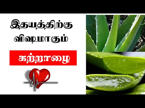 கற்றாழை பக்கவிளைவுகள் | Aloe Vera side effects on heart and liver in Tamil | Aloe Vera juice