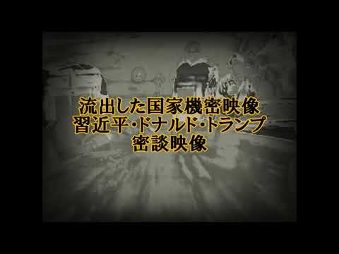 流出した国家機密映像  習近平・ドナルド・トランプ密談映像!　~ノーベル平和賞を狙う2人がひそかに密会か！？#禁断映像#裏流出#国家機密#閲覧注意