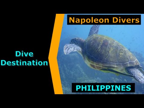 Diving Philippines, Napoleon Divers, Destination Spotlight for Scuba.Digital The #1 Online Dive Show