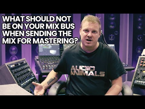 What Should Not Be On Your Mix Bus When Sending The Mix For Mastering?