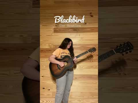 Blackbird guitar cover! #blackbird #thebeatles #guitar  #fingerstyle #music #shorts #orangewood