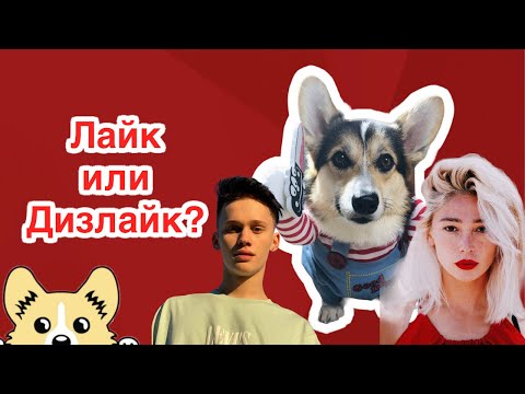 Лайк или дизлайк? Милохин, Настя Ивлеева, Ксения Собчак