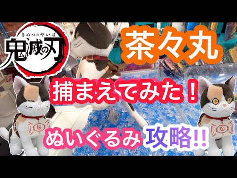 鬼滅の刃 茶々丸 ぬいぐるみ攻略法を一挙公開！！【クレーンゲーム】