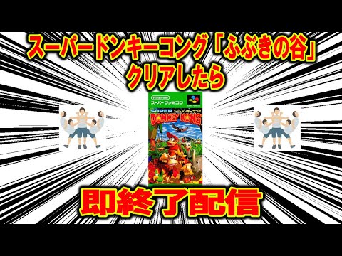 スーパードンキーコング 4-1「ふぶきの谷」クリアしたら即終了配信