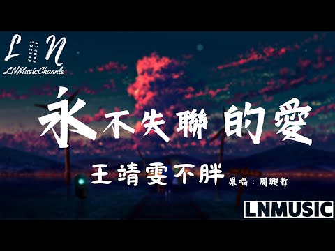 王靖雯不胖【原唱：周興哲】 - 永不失聯的愛『你給我 這一輩子都不想失聯的愛 相信愛的征途就是星辰大海』。【動態歌詞】高音質Lyrics