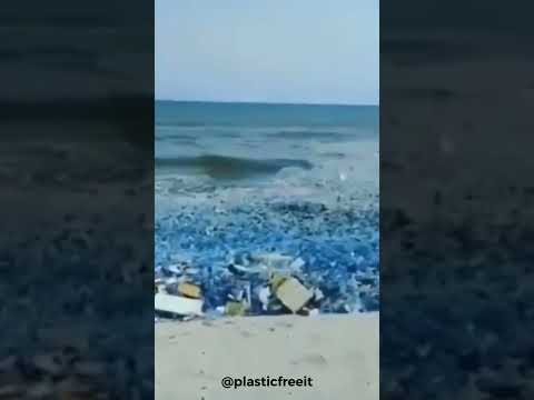 Onde di microplastica! Invertiamo la tendenza, unisciti a noi @plasticfreeit